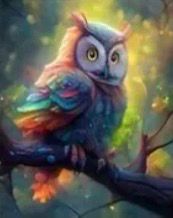 Öökull 30x40 cm (25x35)