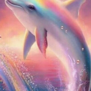 Delfiin 30x40 cm (25x35)