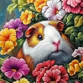 Hamster 30x40 cm (25x35)