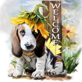 Koer 30x30 cm (25x25)