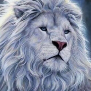 Lõvi 30x40 cm (25x35)