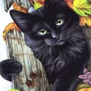 Must Kass 30x40 cm (25x35)