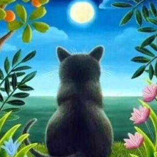 Must Kass 30x40 cm (25x35)