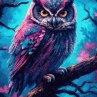 Öökull 30x40 cm (25x35)