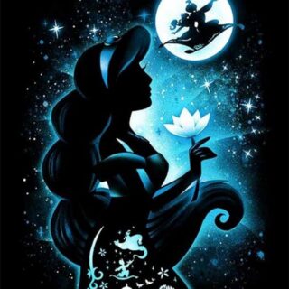 Aladdin 30x40 cm (25x35)