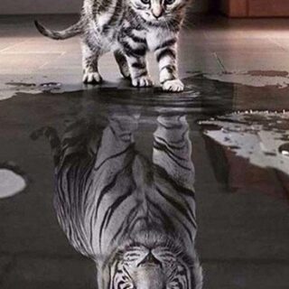 Kass&Tiiger 30x40 cm (25x35)