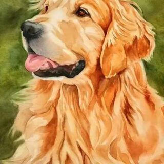 Koer 30x40 cm (25x35)