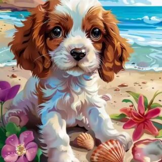 Koer 30x40 cm (25x35)