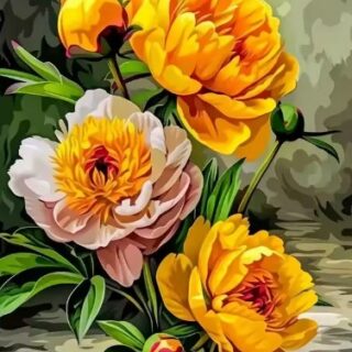 Kollased Pojengid 30x40 cm (25x35)