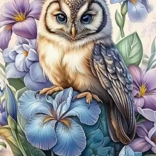 Öökull 30x40 cm (25x35)