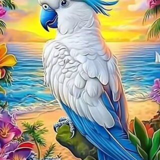 Valge Papagoi 30x40 cm (25x35)