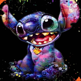 Stitch 30x40 cm (25x35)