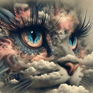 Kassi Silmad 30x30 cm (25x25)