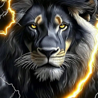 Lõvi 30x40 cm (25x35)