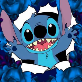 Stitch 30x40 cm (25x35)