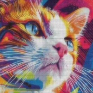 Kass 30x40 cm (25x35)