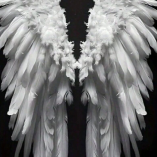 Ingel 30x30 cm (25x25)