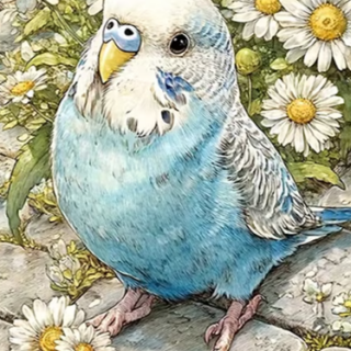 Papagoi 30x40 cm (25x35)