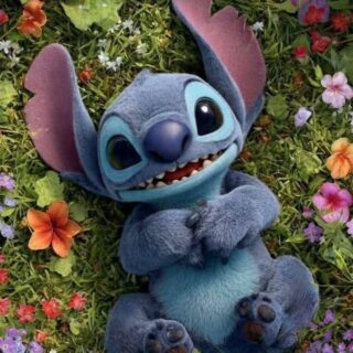 Stitch 40x50 cm