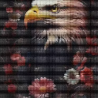 Kotkas 30x40 cm (25x35)